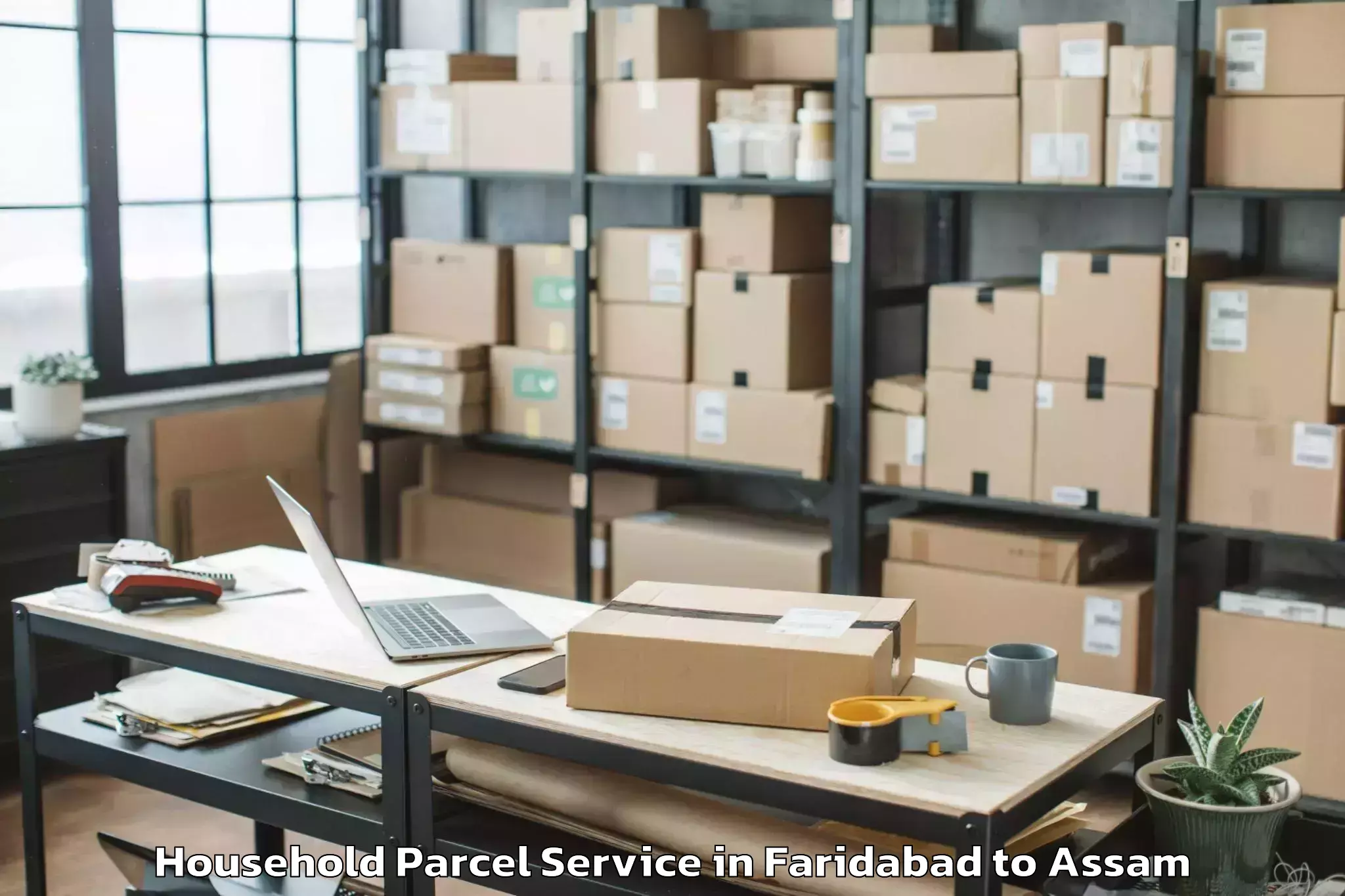 Hassle-Free Faridabad to Silapathar Household Parcel